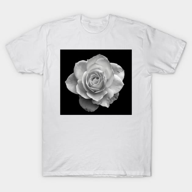 White Rose in Black and White T-Shirt by briankphoto